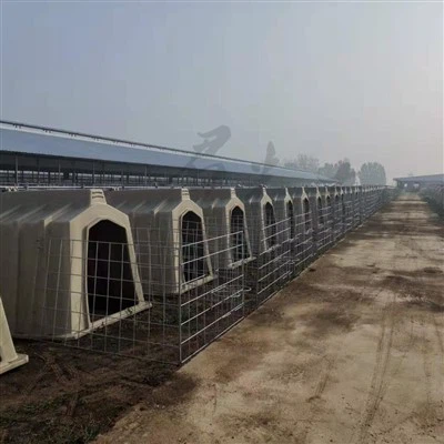 कैलफ आइलैंड